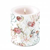 Soporte para velas decorativas - Candle medium Sea animals