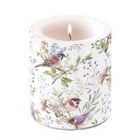 Decorative candle medium - Busy birds