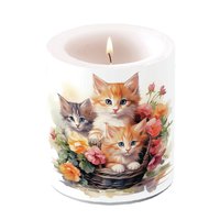 Decorative candle medium - Kittens in basket
