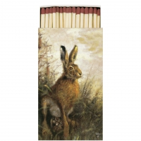 火柴 - Matches Portrait Of Hare