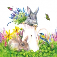 Serwetki 33x33 cm - Young Rabbits 