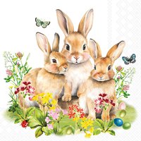 Napkins 33x33 cm - Bunny family