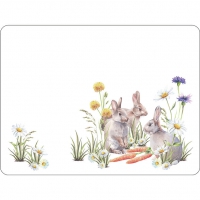 placemats -   Carrot treat