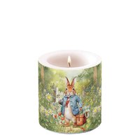装饰蜡烛小 - Mister Rabbit