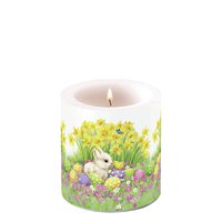 装饰蜡烛小 - Easter friends