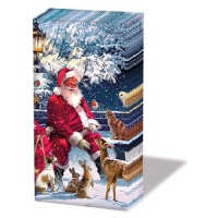 Pañuelos - Santa on bench