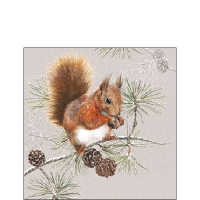 Napkins 25x25 cm - Squirrel in winter 