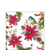 餐巾25x25厘米 - Bird on poinsettia white 