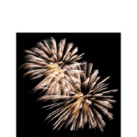 Serwetki 25x25 cm - Golden Firework 