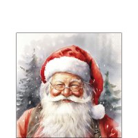 Napkins 25x25 cm - Happy Santa