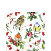 Napkins 25x25 cm - Birds in winter