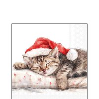 Serwetki 25x25 cm - Dreaming about X-Mas