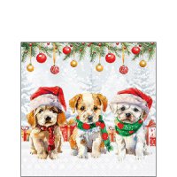 Serwetki 25x25 cm - Funny cute puppies