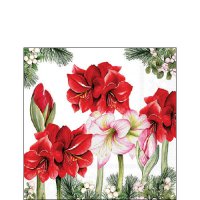 Servetten 25x25 cm - Blooming amaryllis white