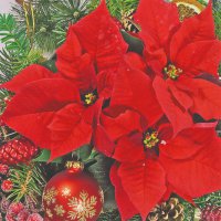 Servilletas 33x33 cm - Red poinsettia