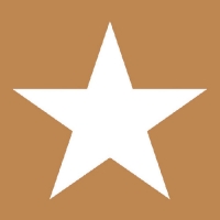 Napkins 33x33 cm - Star Copper