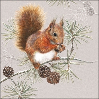 Napkins 33x33 cm - Squirrel In Winter 