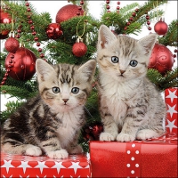 Serviettes 33x33 cm - Christmas Kitten 