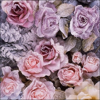 Servietten 33x33 cm - Winter roses 