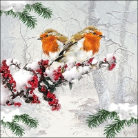 Serviettes 33x33 cm - Winter birds 