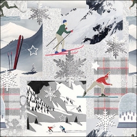 Napkins 33x33 cm - Winter sports 