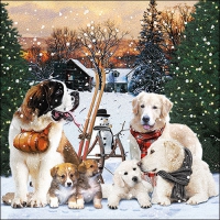 Serviettes 33x33 cm - Posing dogs 