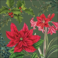 Napkins 33x33 cm - Christmas plants green