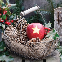 Serwetki 33x33 cm - Star apple 