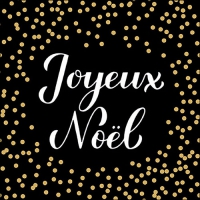 Napkins 33x33 cm - Joyeux Noël black/gold 