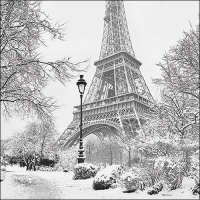 Serviettes 33x33 cm - Winter in Paris 