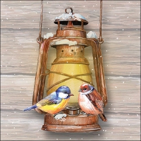 Serviettes 33x33 cm - Birds on lamp 