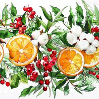 Servilletas 33x33 cm - Winter oranges