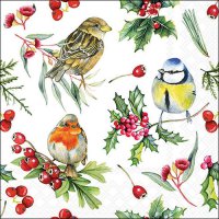 Napkins 33x33 cm - Birds in winter