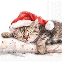 餐巾33x33厘米 - Dreaming about X-Mas