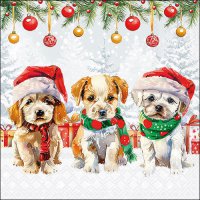 Serwetki 33x33 cm - Funny cute puppies