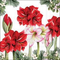 Serwetki 33x33 cm - Blooming amaryllis white