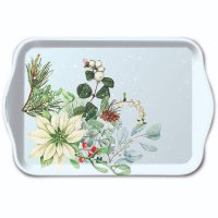 盘 - White poinsettia