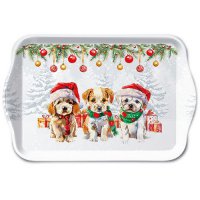 Bandeja - Funny cute puppies