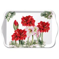 Tray - Blooming amaryllis white