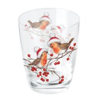 Szkło wodne - Christmas robins white