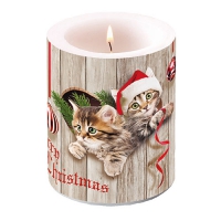 decorative candle - Curious Kittens