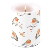 decorative candle - Robin Family