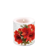 Decorative candle small - Amaryllis
