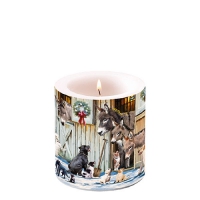 Decorative candle small - Animal Friends
