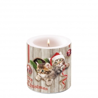 Decorative candle small - Curious Kittens