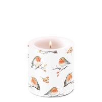 Candela decorativa piccola - Candle small Robin family