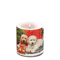 Dekorkerze klein - Candle small Dogs at the door