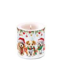Decorative candle small - Funny cute puppies