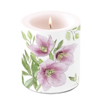 Decorative candle medium - Candle medium Classic helleborus