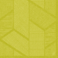 Dunisoft餐巾纸40x40厘米 - Elwin kiwi